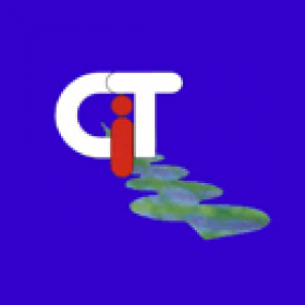 CIT - Management u. Führung logo