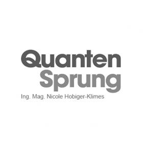 QuantenSprung logo