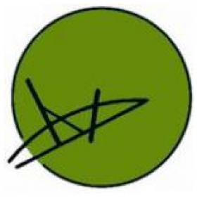 Academy4socialskills logo